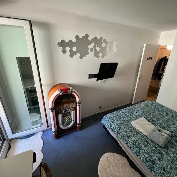 chambre privé chez l'habitant, hotel in Choisy-le-Roi