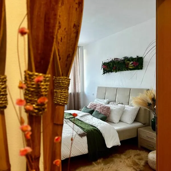 Bali byt s parkovacím místem v centru města, hotel v Českých Budějovicích