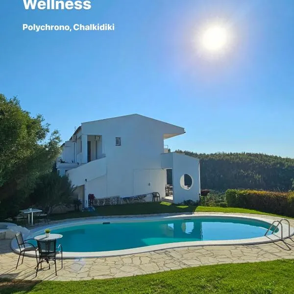 Tao Te Wellness, hotel in Polykhrono