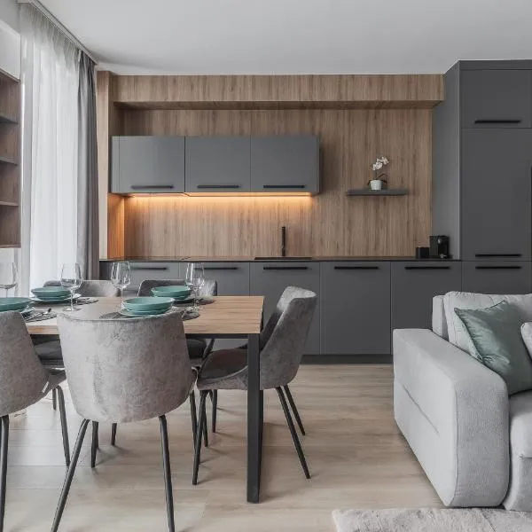 Luxury Grey Residence - Central, Free Parking, Self Check-In, hotel din Oradea