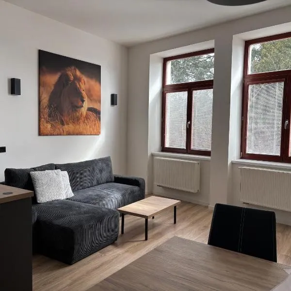 Apartemnt in Dvůr Králové nad Labem, hotel v destinaci Dvůr Králové nad Labem
