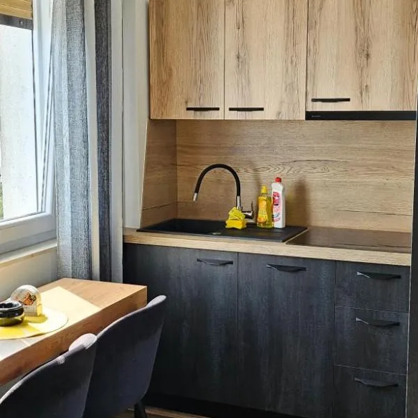 Studio apartman Noa, hotel v destinaci Rijeka