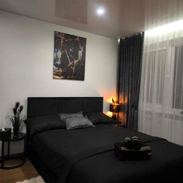 DOMINO apartamentai, SELF CHECK-IN, hotel in Panevėžys