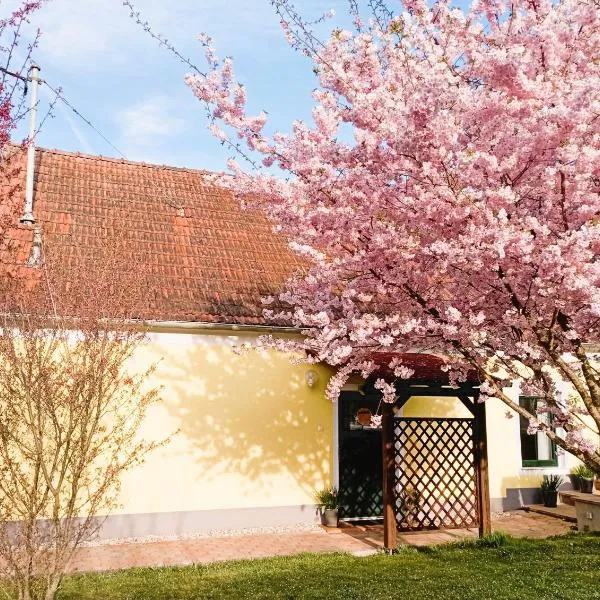 Grafs Landhaus im Südburgenland, Hotel in Oberdorf im Burgenland