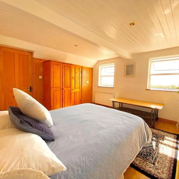 BallyV House: Private Double Room with en-suite bathroom, breakfast, near Cliffs of Moher, hotel in Lower Ballycotteen