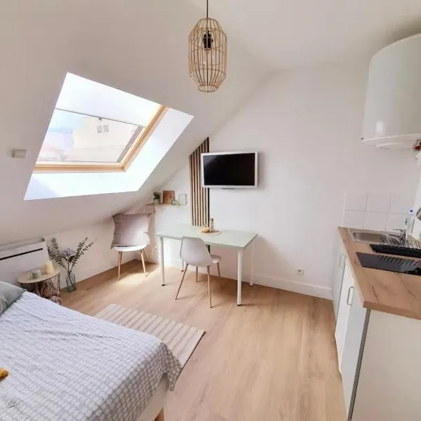 Le Saint Jacques "Belle Étoile" Logement climatisé Hyper-Centre, hotel v destinácii Grenoble