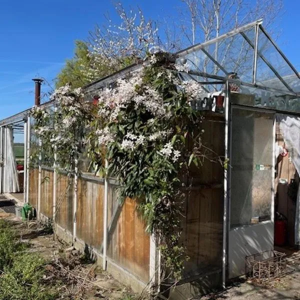Vrijstaande accommodatie Glamping de Kas InN, hotel en Hank