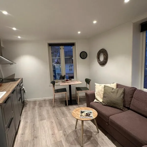 Central apartment in Kragerø, hotel v destinaci Kragero