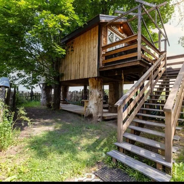 Podlasie Domek na drzewach, hotel v destinaci Trześcianka