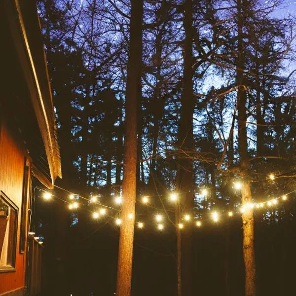 ADK Forest Cabin near Lake Placid with Hot Tub and Ice Bath, hotelli kohteessa Jay