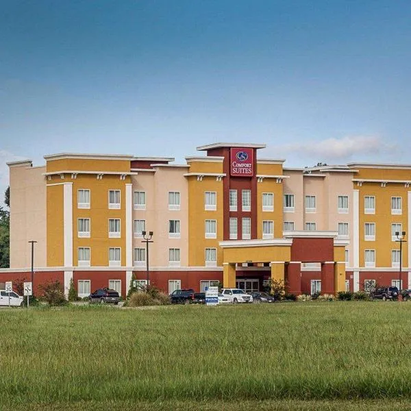 Comfort Suites near Tanger Outlet Mall, hotel in Gonzales