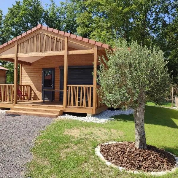 Lac du Der Chalet neuf tout confort, hotel in Giffaumont