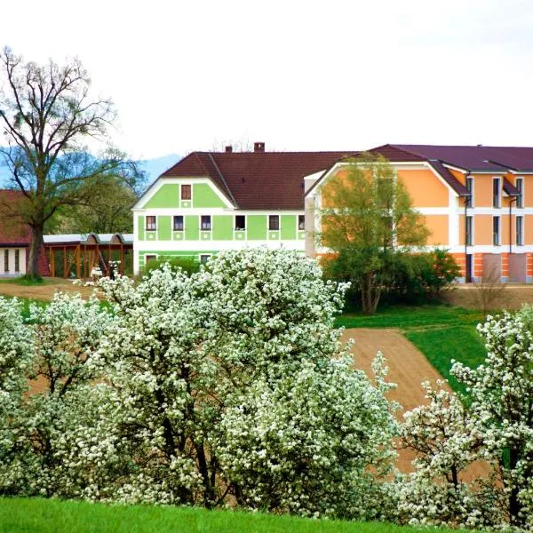 Mostlandhof, hotel in Petzenkirchen