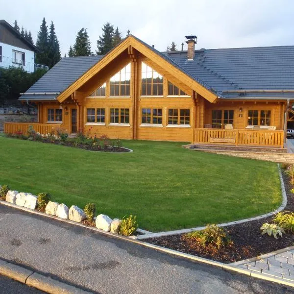 Luxus Blockhaus Willingen Sonnenhang Lodge B, hotel in Willingen