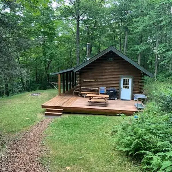 Pine Hill FLX Retreat, hotel in Cohocton