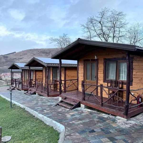 Pensiunea Bodrogeni, hotel v destinaci Poiana Aiudului