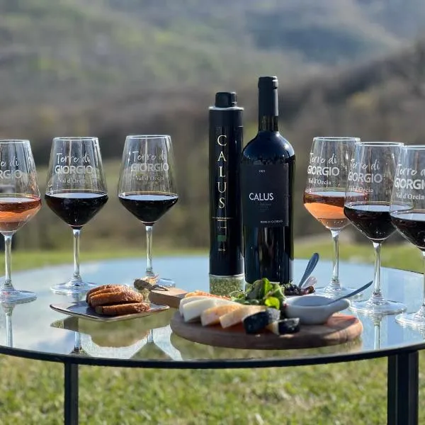 Terre di GIORGIO Agriturismo Villa la Palazzetta, hotel v destinaci Castiglione dʼOrcia