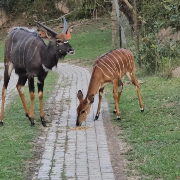 Shiloh Bush Cottage、ネルスプロイトのホテル