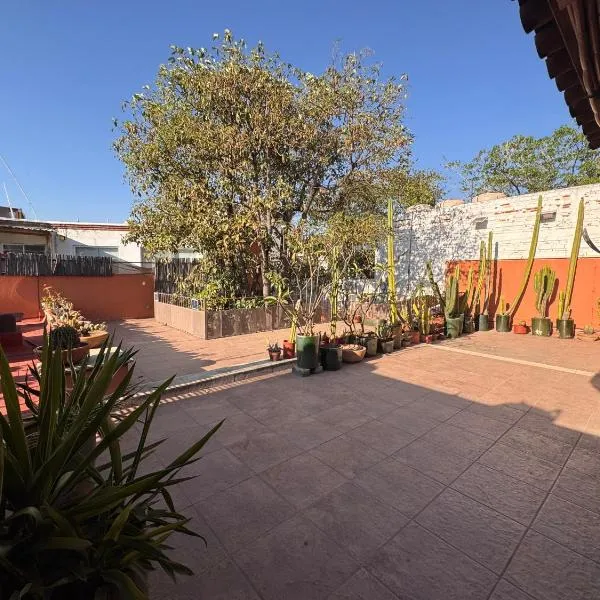 La Casa del Arbol, hotel in Oaxaca City