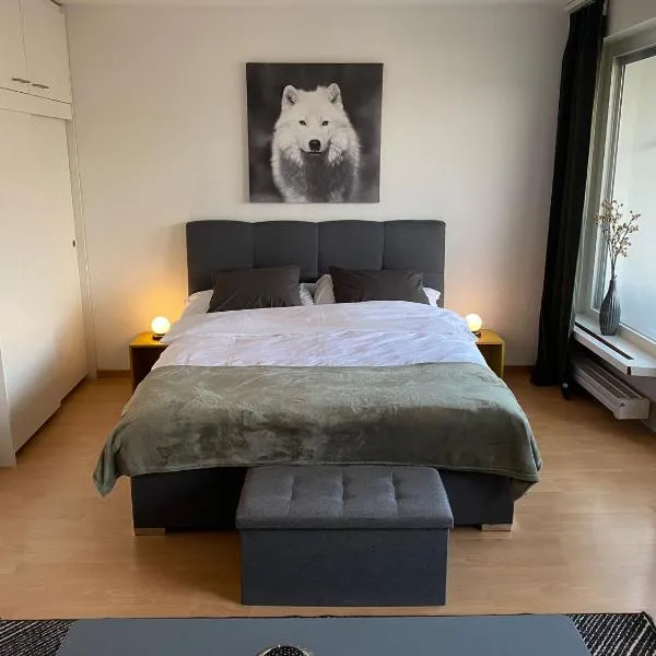 Appartement 1,5 pces, hotel in Fribourg