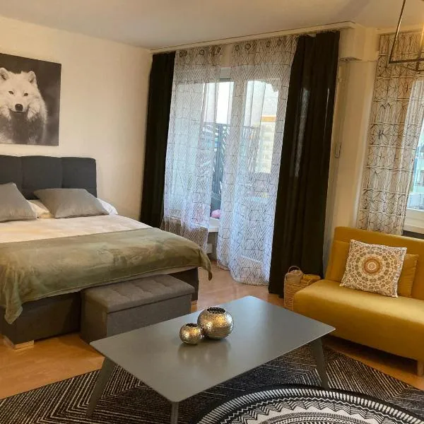 Appartement 1,5 pces, hotel a Friburg