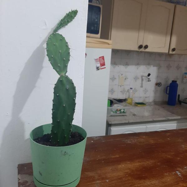Apartamento completo temporada privativo no centro - Foto 4