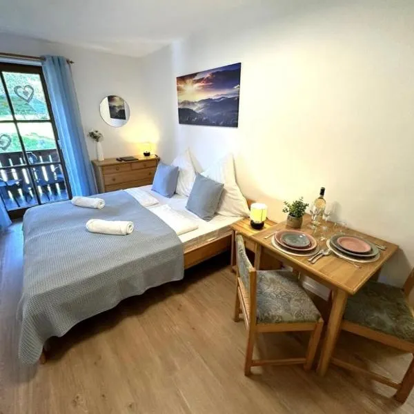 Apartment in Zwiesel Bayerischer Wald, Sauna, Pool, Wi-Fi, hotel in Zwiesel