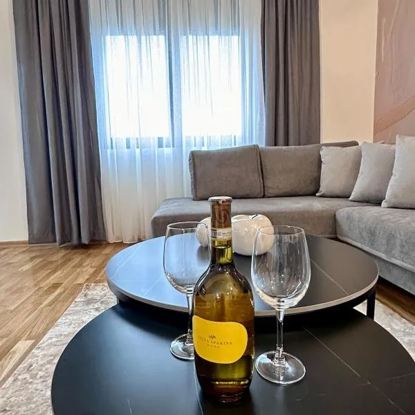 Diamond apartment, hotel v destinaci Podgorica