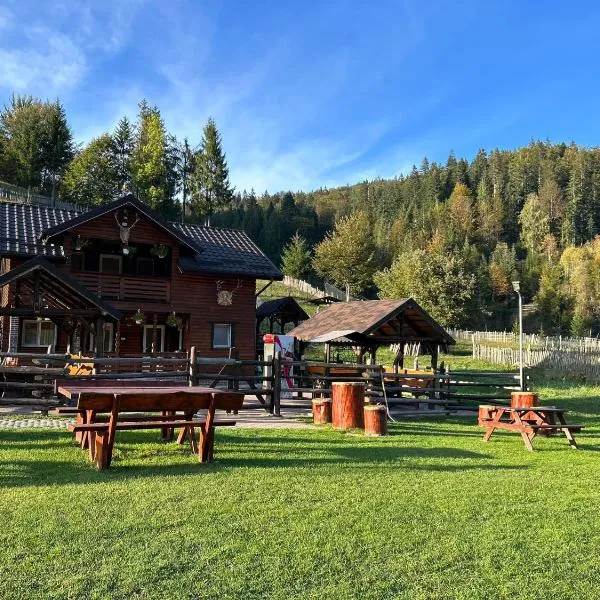 Cabana TYF - Dreptu, hotel v destinaci Poiana Teiului