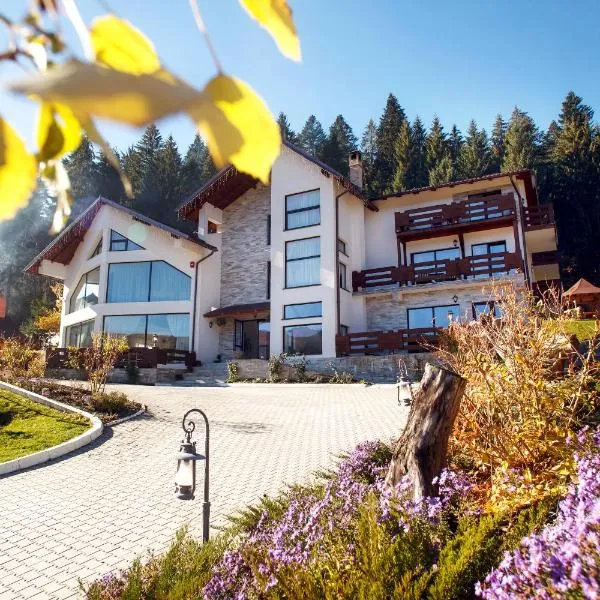 Pension Perla Bucovinei、ヴォロネツのホテル