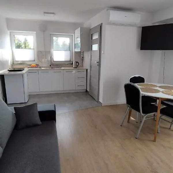 Apartament II Na Słonku、Dzierzgońのホテル