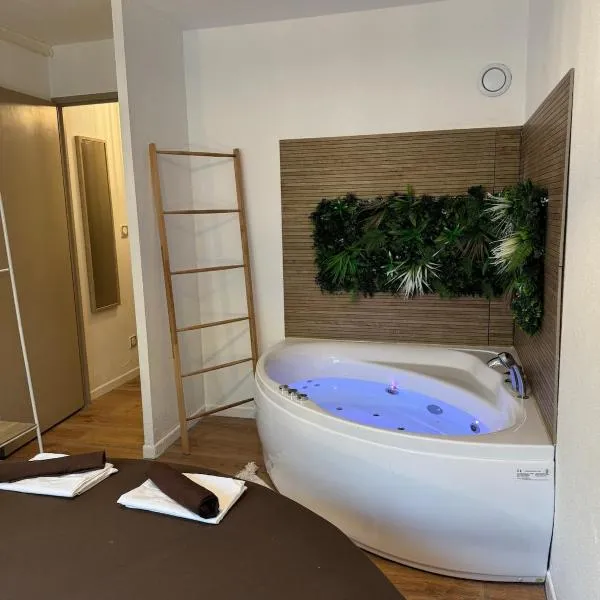 T2, Balneo, sauna, lit rond, jeux arcades, parking, hotel v destinácii Tournefeuille