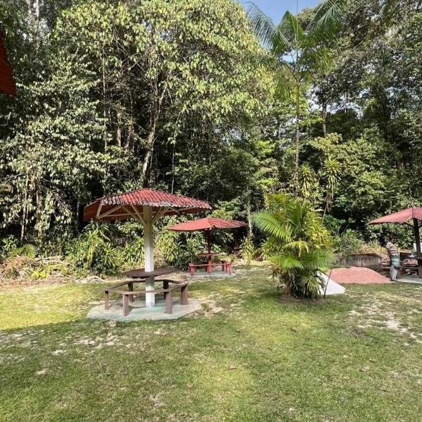 Casa com Igarapé - Foto 5
