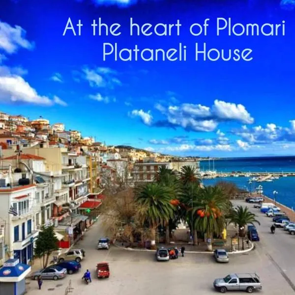 Plataneli House Plomari Bookings less than 3 nights will not be accepted!, hotel in Plomarion