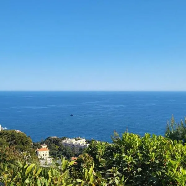 Costa Plana apartment with terrace and sea view, ξενοδοχείο στο Cap d'Ail