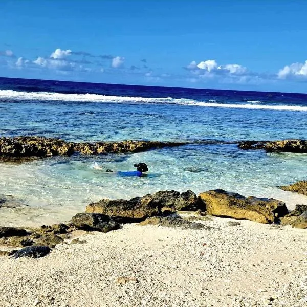 Un écrin de paix au soleil et proche de la mer – hotel w mieście Moorea
