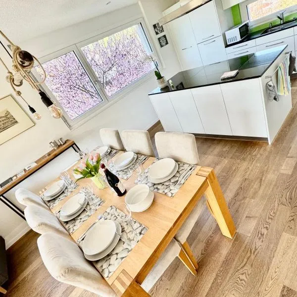 Grosse Wohnung mit Sauna, hotell sihtkohas Huttwil