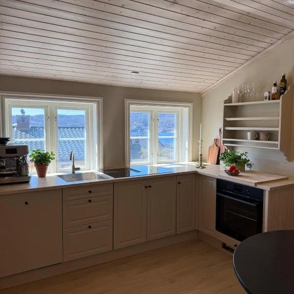 Central penthouse, hotel v destinaci Larvik