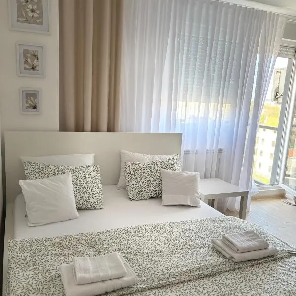 Apartment Leona、Inđijaのホテル