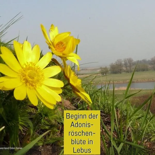 Ferienhaus Lebuser Land für bis zu 4 Personen mit 1300 qm Garten und Privatsauna, grandiosen Blick über die Oder, sonntags late check out bis 18 Uhr inklusive, hotel em Lebus