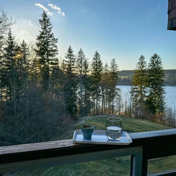 L'écrin du Lac St-Point, hotel em Malbuisson