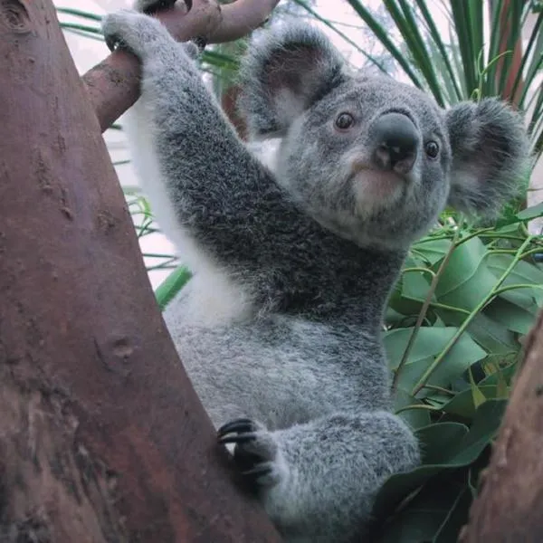 Holiday Inn Express Mechelen City Centre by IHG, ξενοδοχείο σε Mechelen