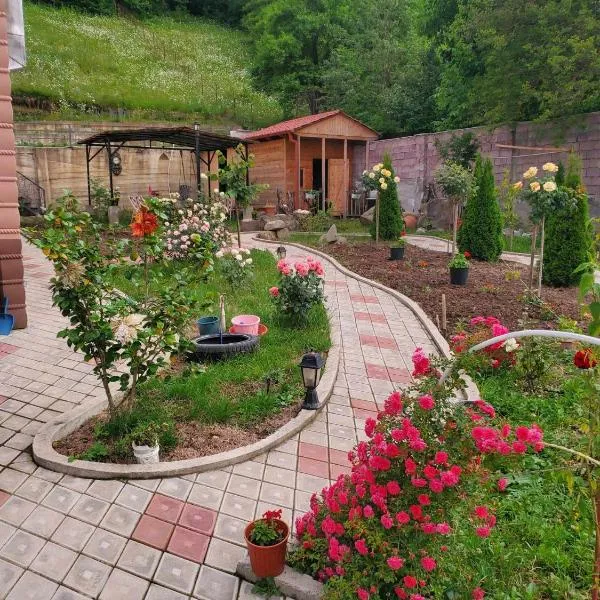 СУХУМИЯ, hotel a Borjomi