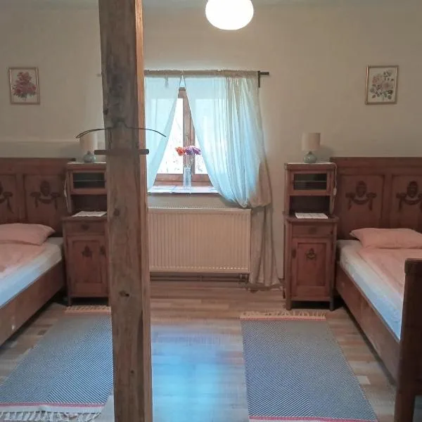 Apartmán Malá Turná, hotel in Strakonice