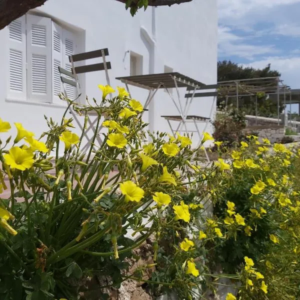 Dandelion Paros Apartments I-II, hotel en Kóstos