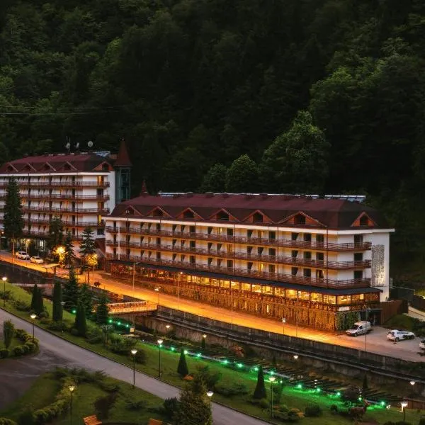 Sairme Hotels & Resorts, hotel v destinaci Sairme