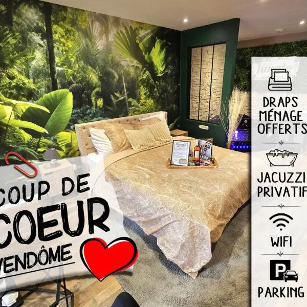 Appartement Chambre Cosy - Jacuzzi - Little Room Vendôme – hotel w mieście Vendôme