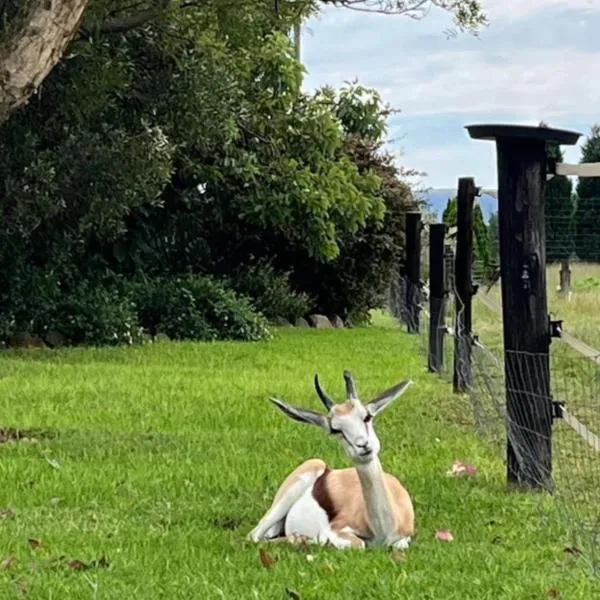 Sanctuary life guest farm, hotel in Magaliesburg