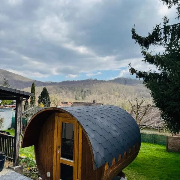 NEU im Harz, Das Haus am Wald mit privater Sauna, frisch renoviert, hotel in Walkenried