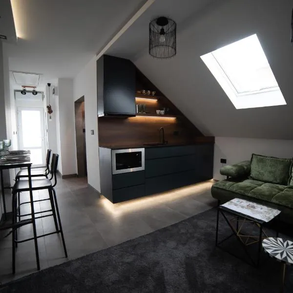 Apartman Elephant, hotel in Novi Sad